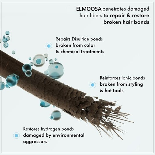 Haircare Repair & Care