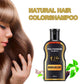 Polygonum multiflorum hair shampoo