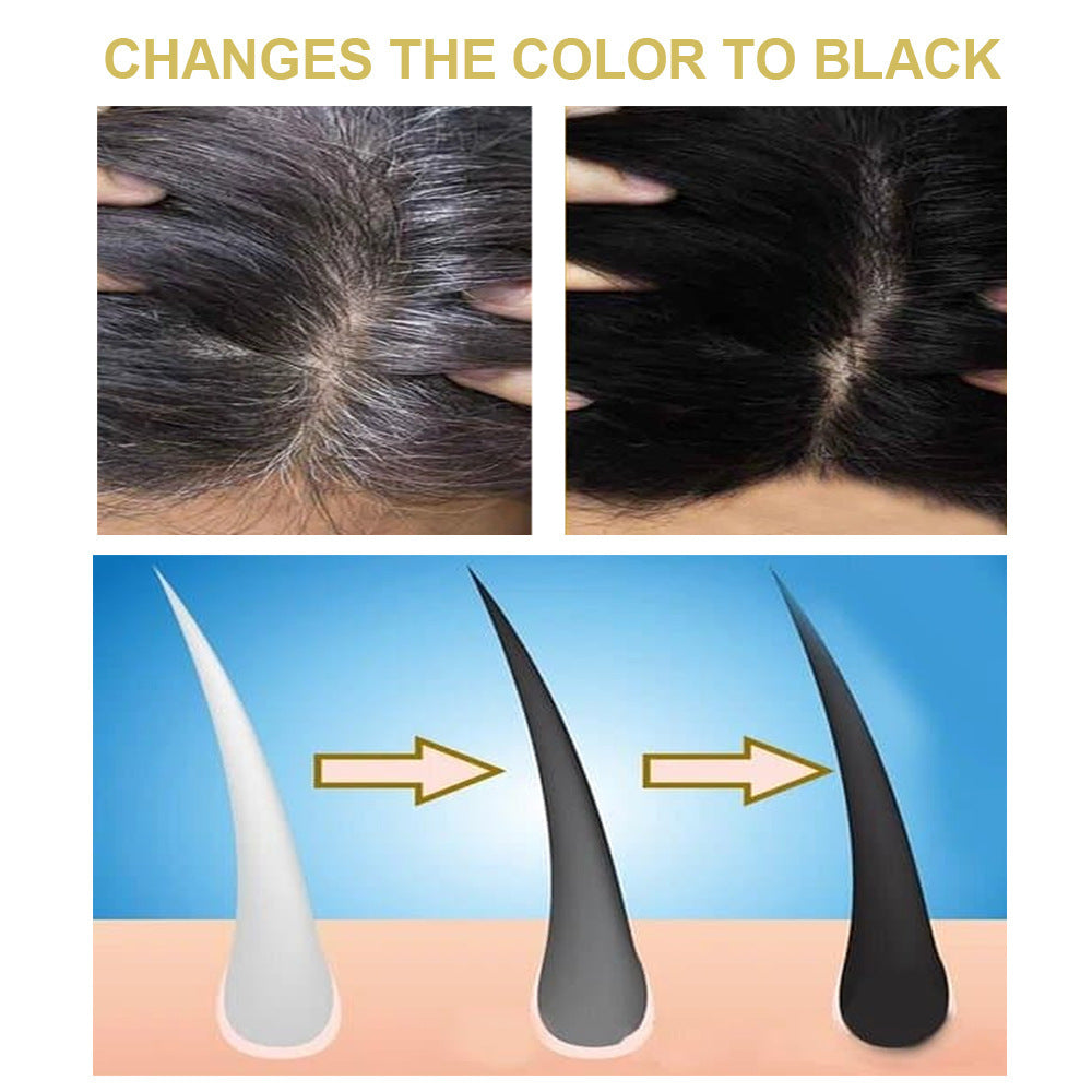 Polygonum multiflorum hair shampoo