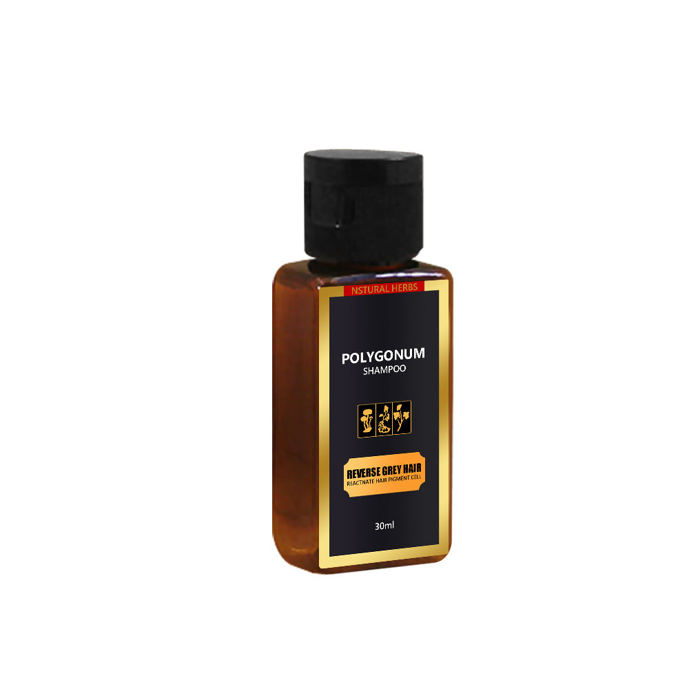 Polygonum multiflorum hair shampoo