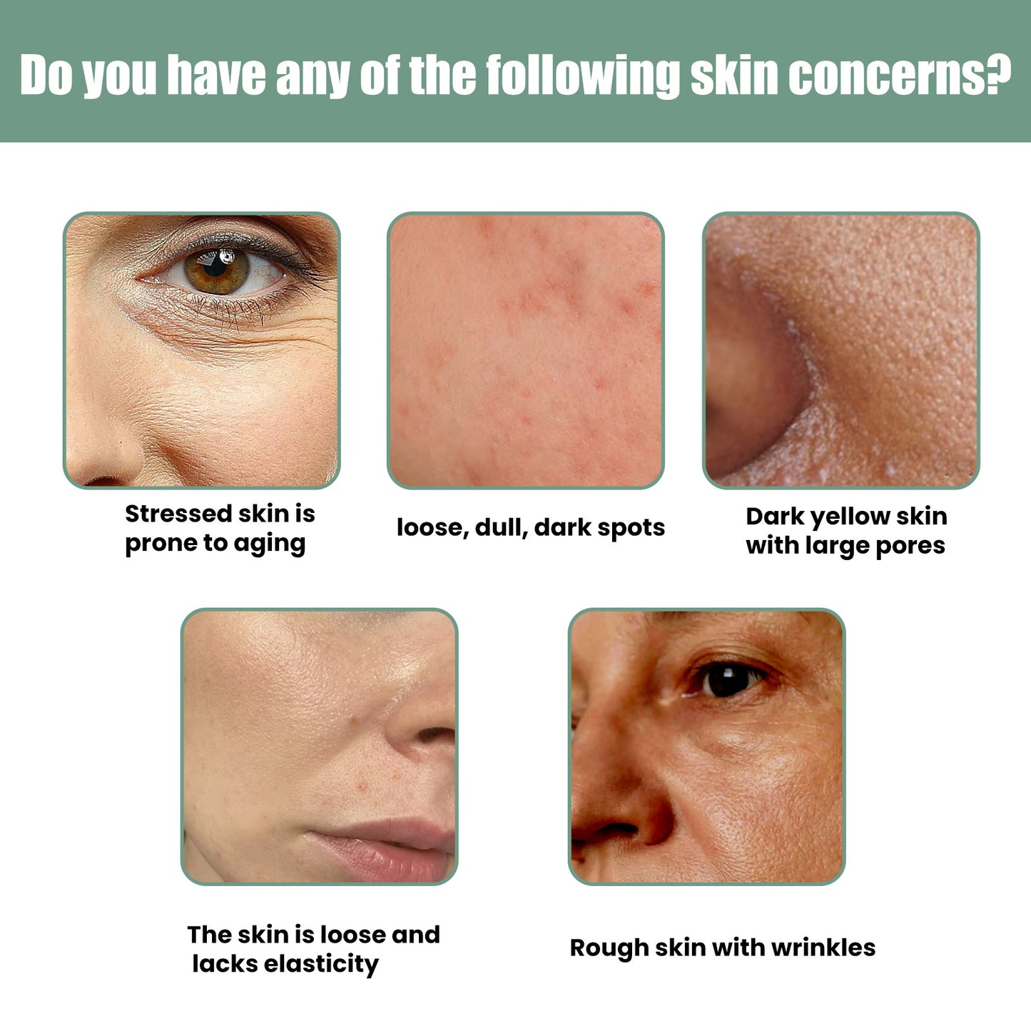 Protein Anti Aging