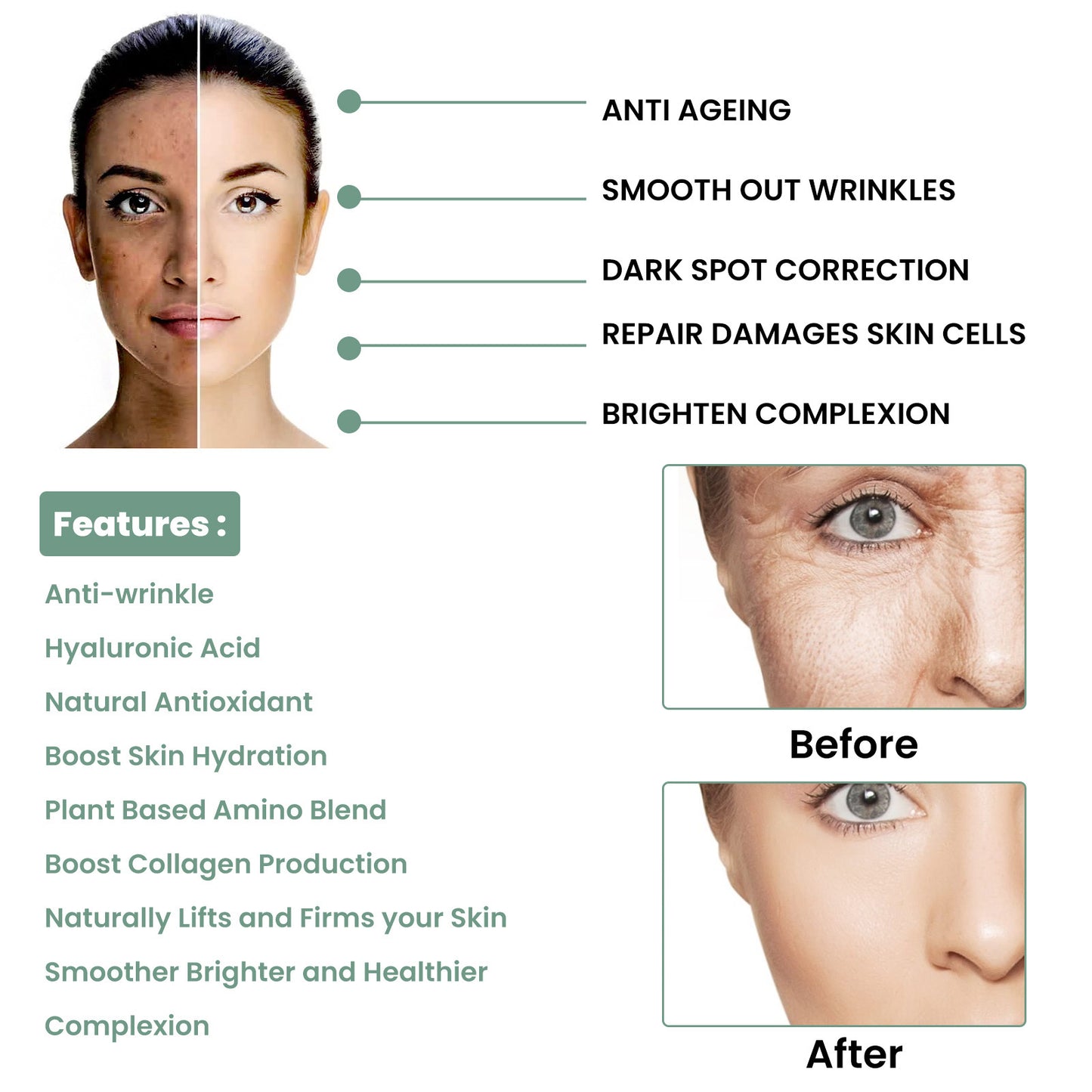 Protein Anti Aging