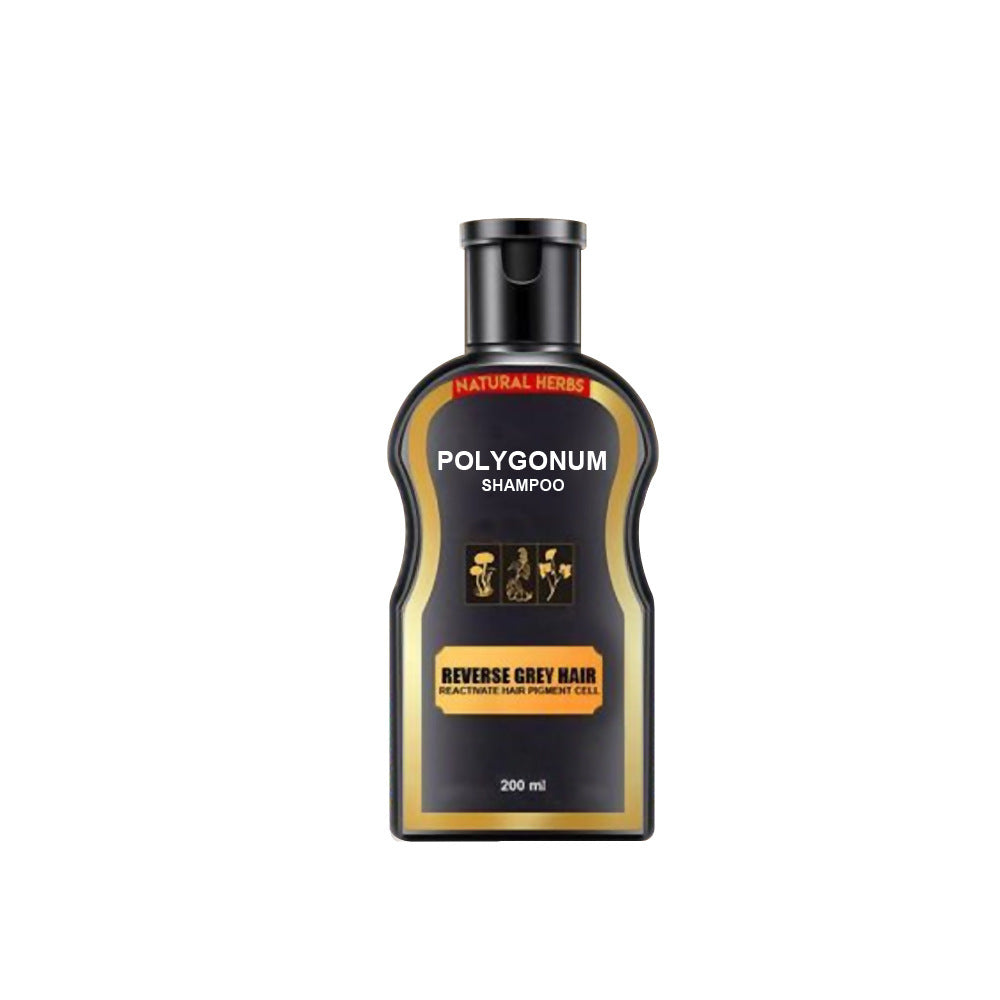 Polygonum multiflorum hair shampoo