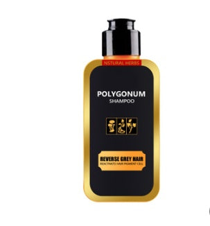 Polygonum multiflorum hair shampoo